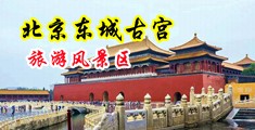 www.女性大B.com中国北京-东城古宫旅游风景区